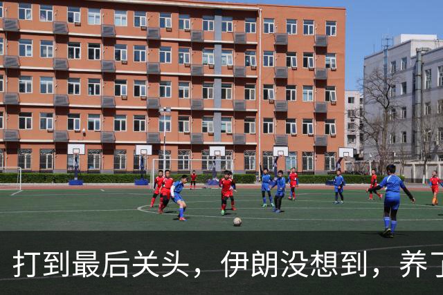 打到最后关头，伊朗没想到，养了20多年的哈马斯，竟跪在了黎明前
